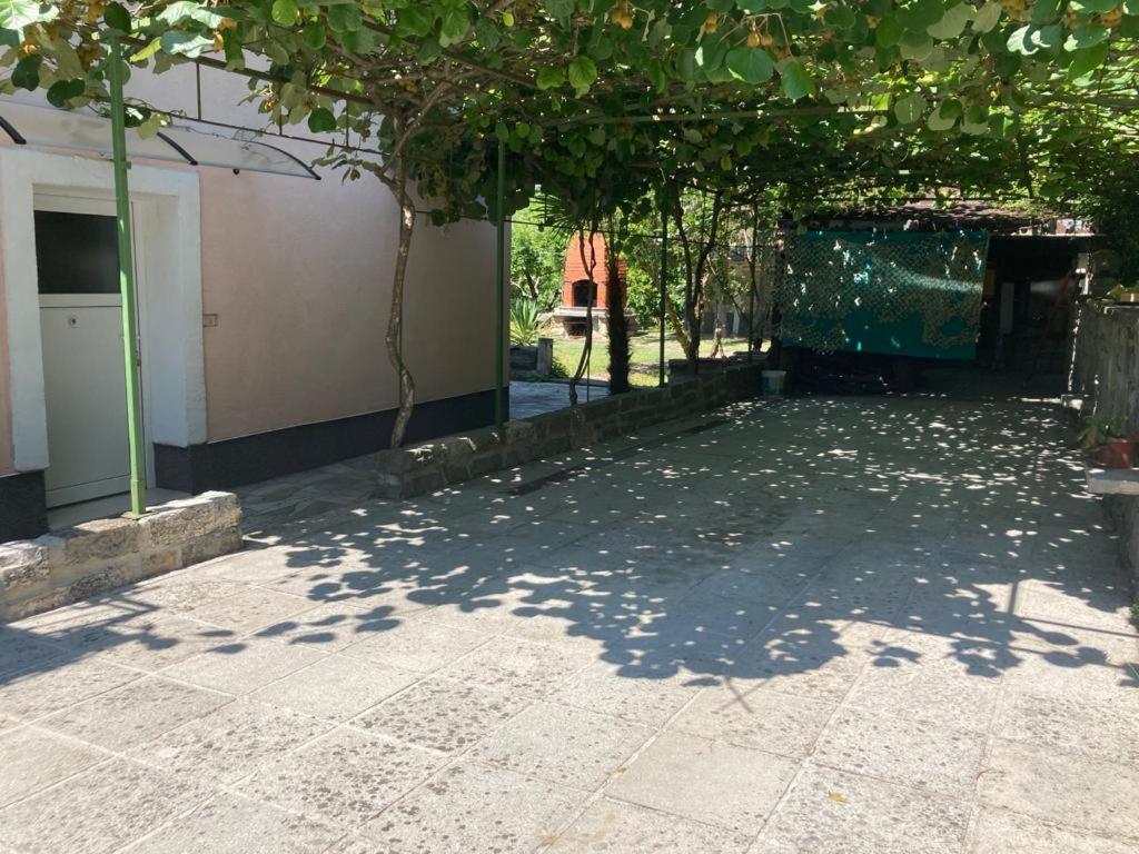 Apartma Mari Apartment Lucija Ngoại thất bức ảnh